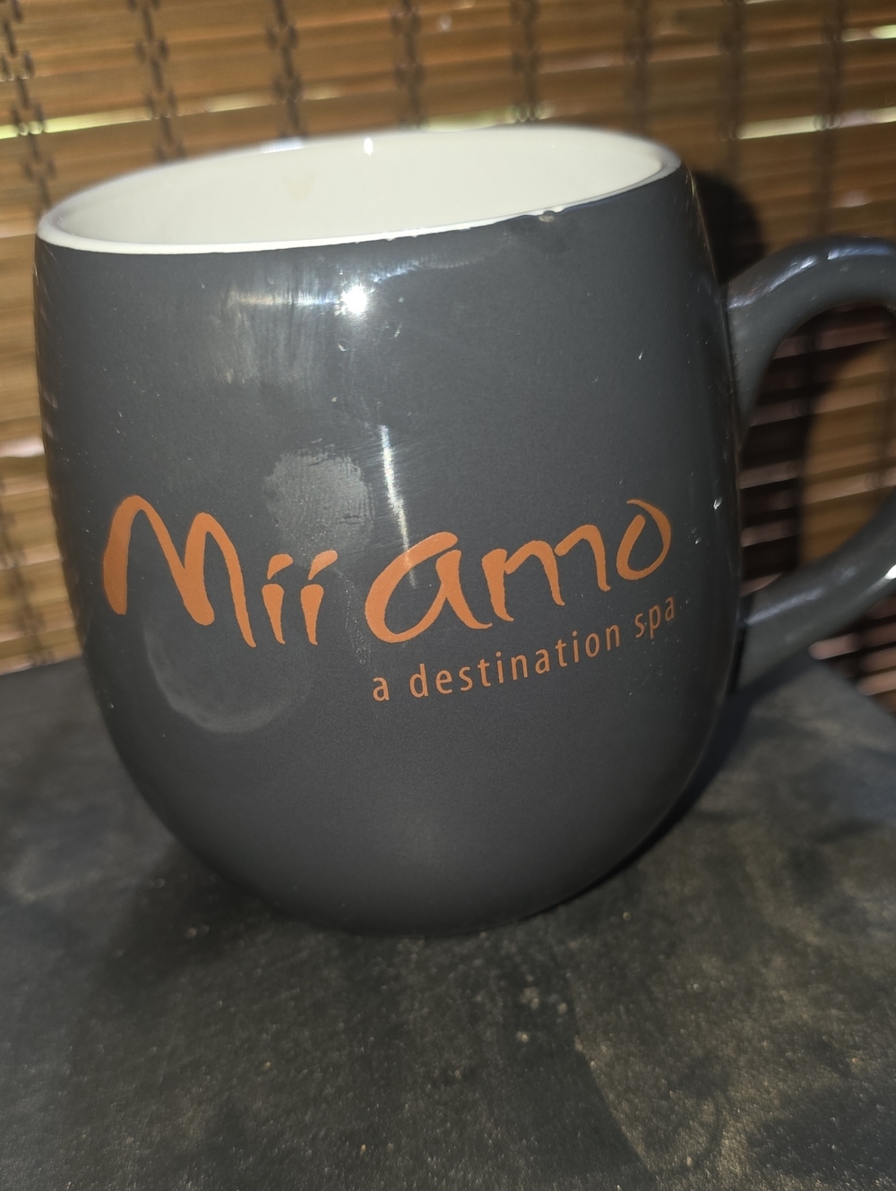Mii Amo Gray Ceramic Mug with Orange Logo